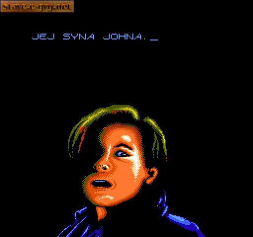 Terminator 2: Judgment Day (PL)