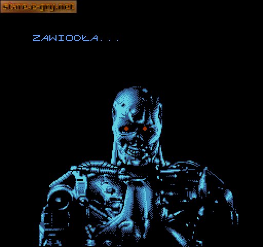 Terminator 2: Judgment Day (PL)