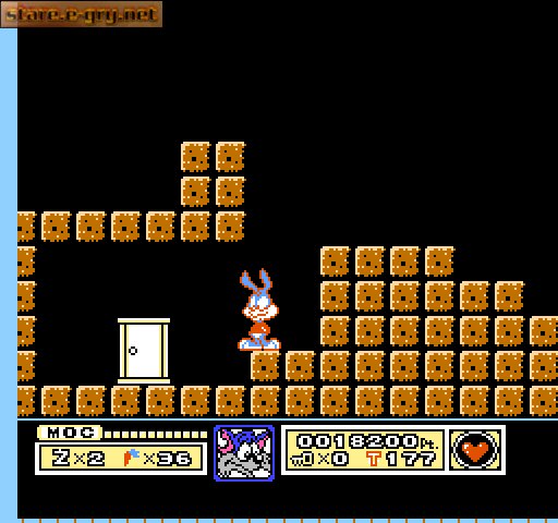 Tiny Toon Adventures (PL)