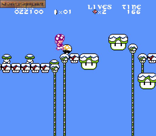 Toadette's Christmas Adventure