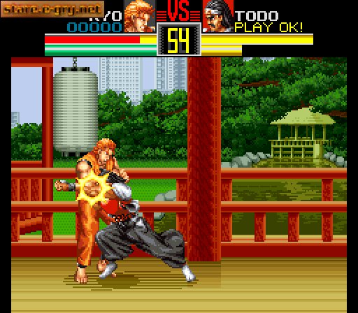 Art of Fighting