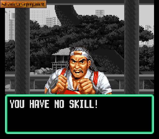 Art of Fighting