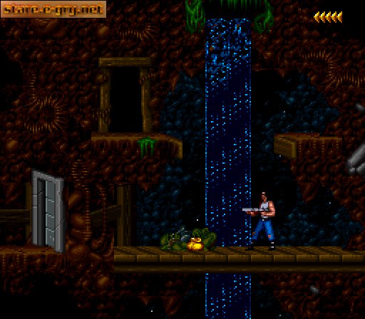 Blackthorne