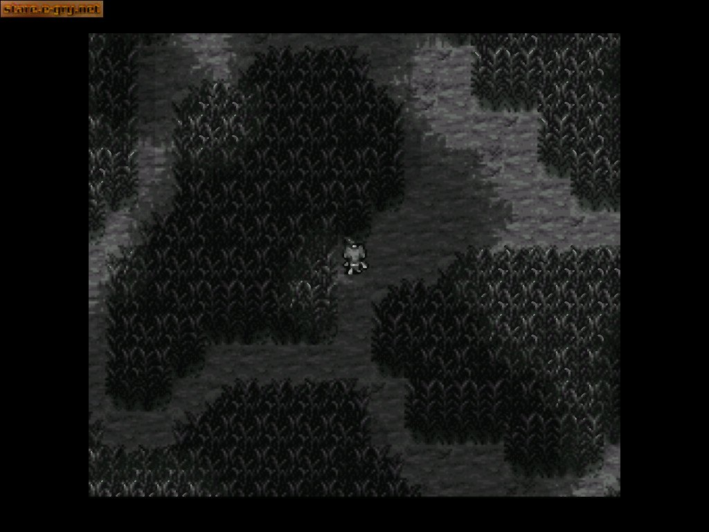 Breath of Fire II (PL)
