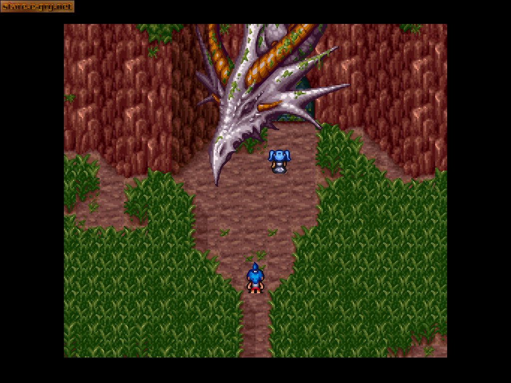 Breath of Fire II (PL)