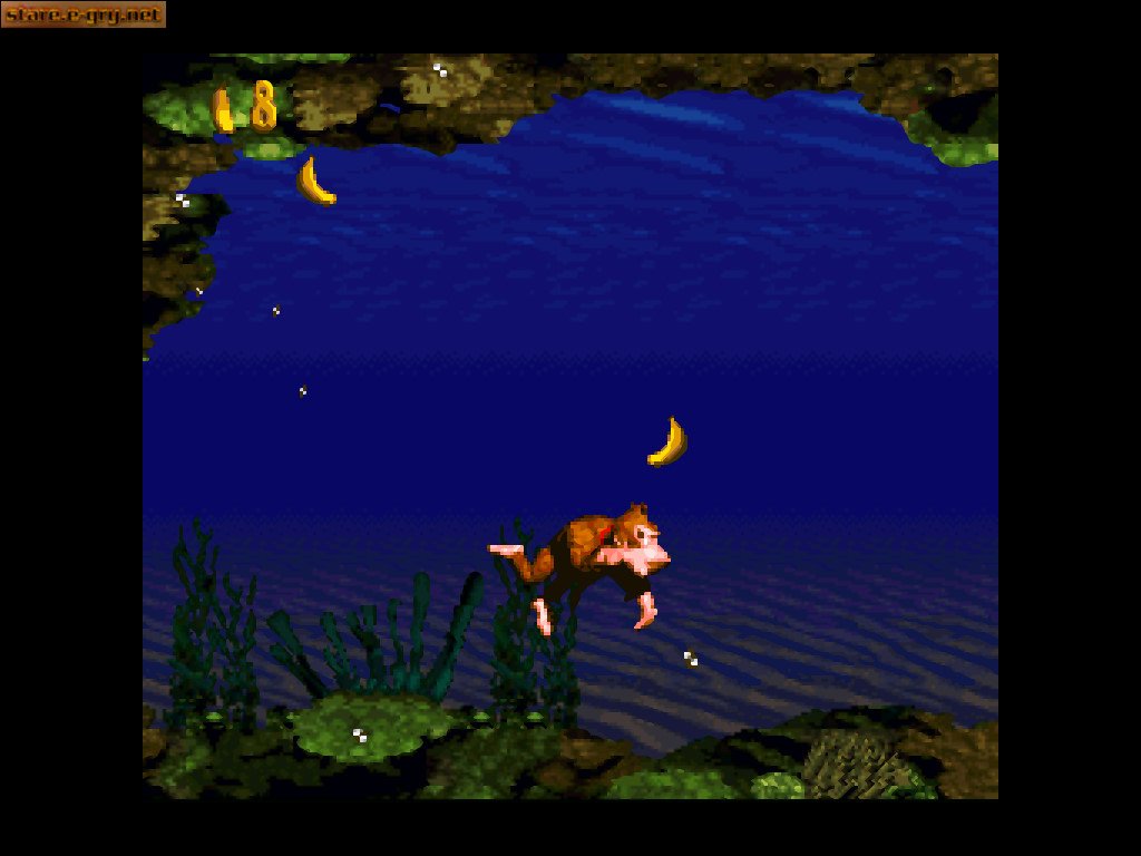 Donkey Kong Country