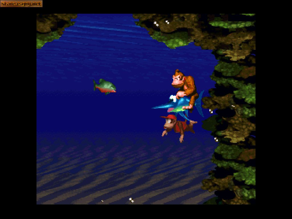 Donkey Kong Country