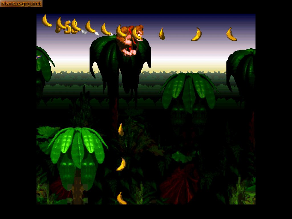Donkey Kong Country