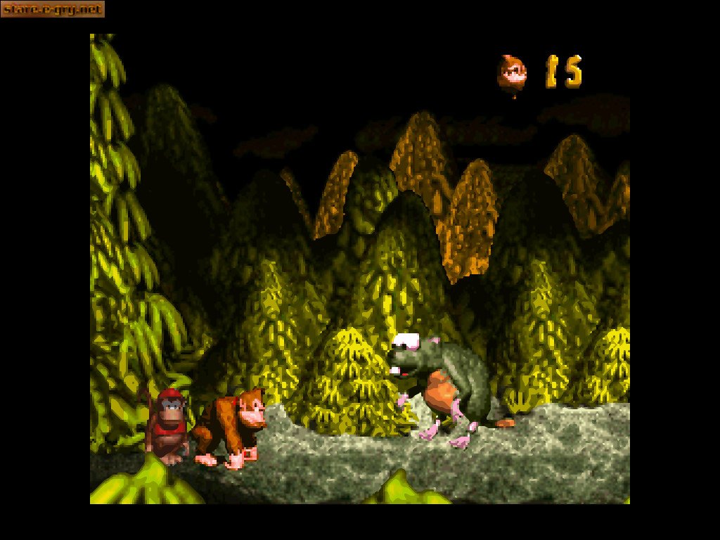 Donkey Kong Country