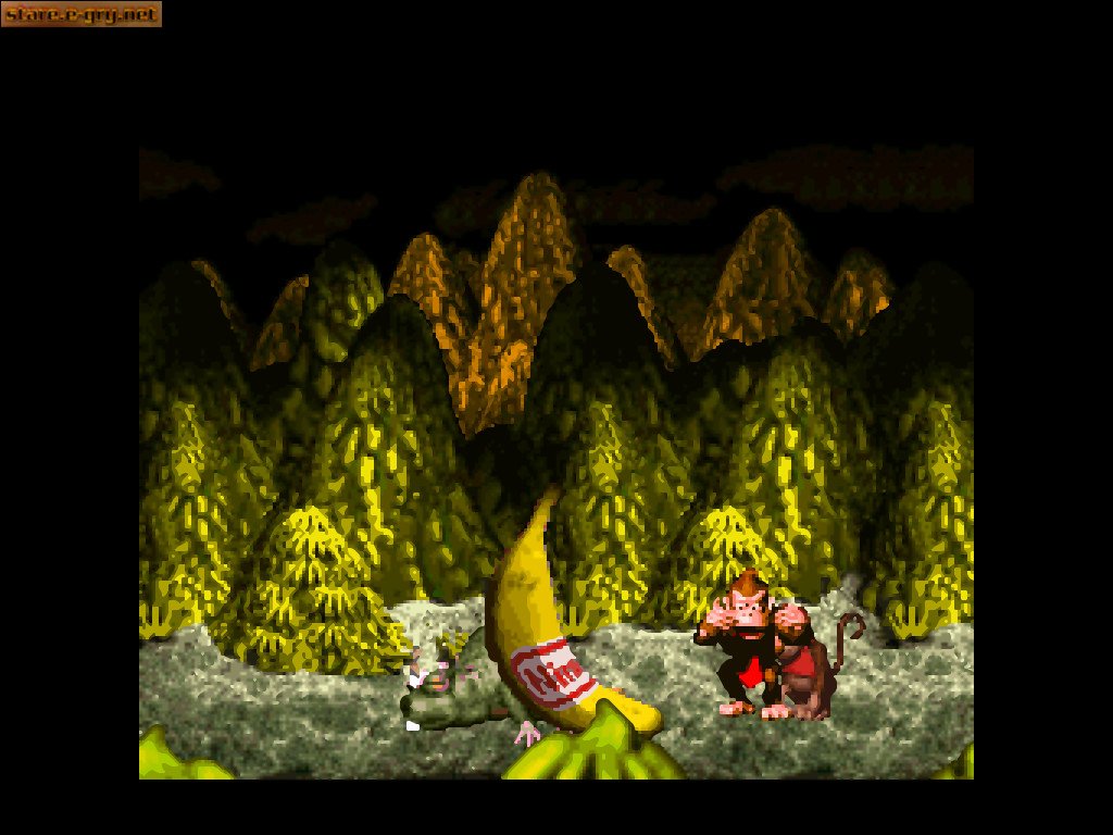 Donkey Kong Country