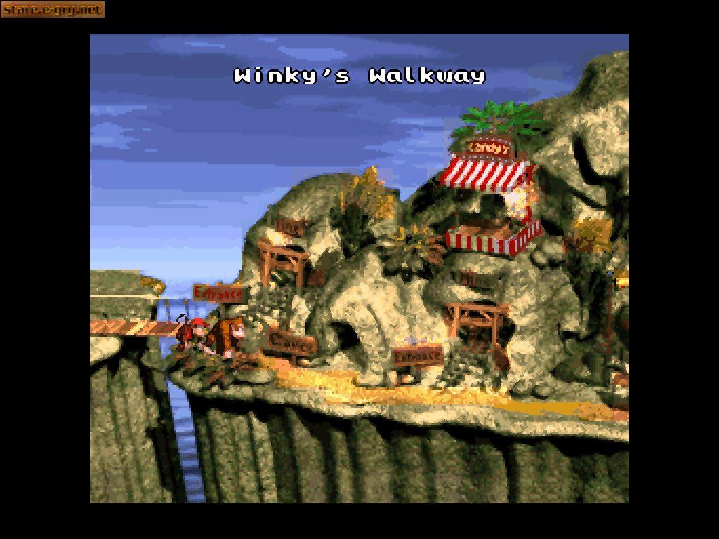 Donkey Kong Country