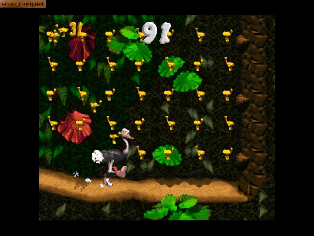 Donkey Kong Country
