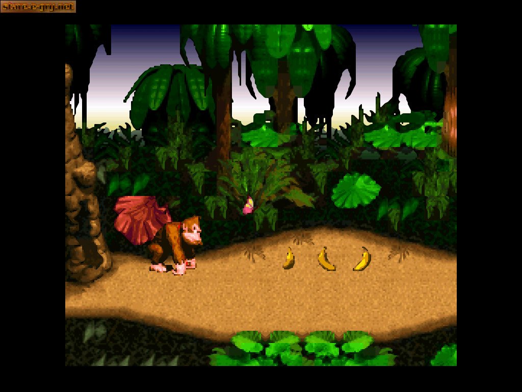 Donkey Kong Country