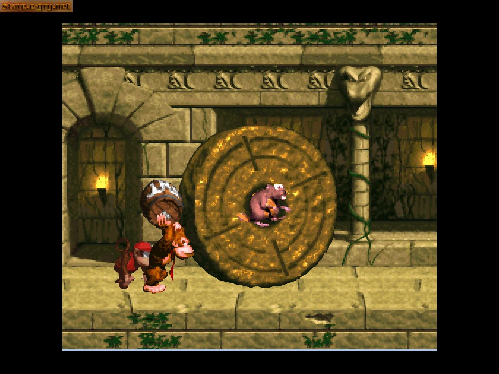 Donkey Kong Country