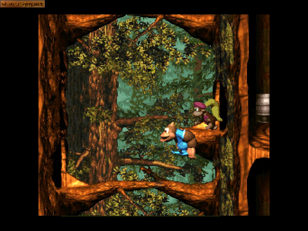 Donkey Kong Country 3: Dixie Kong's Double Trouble!