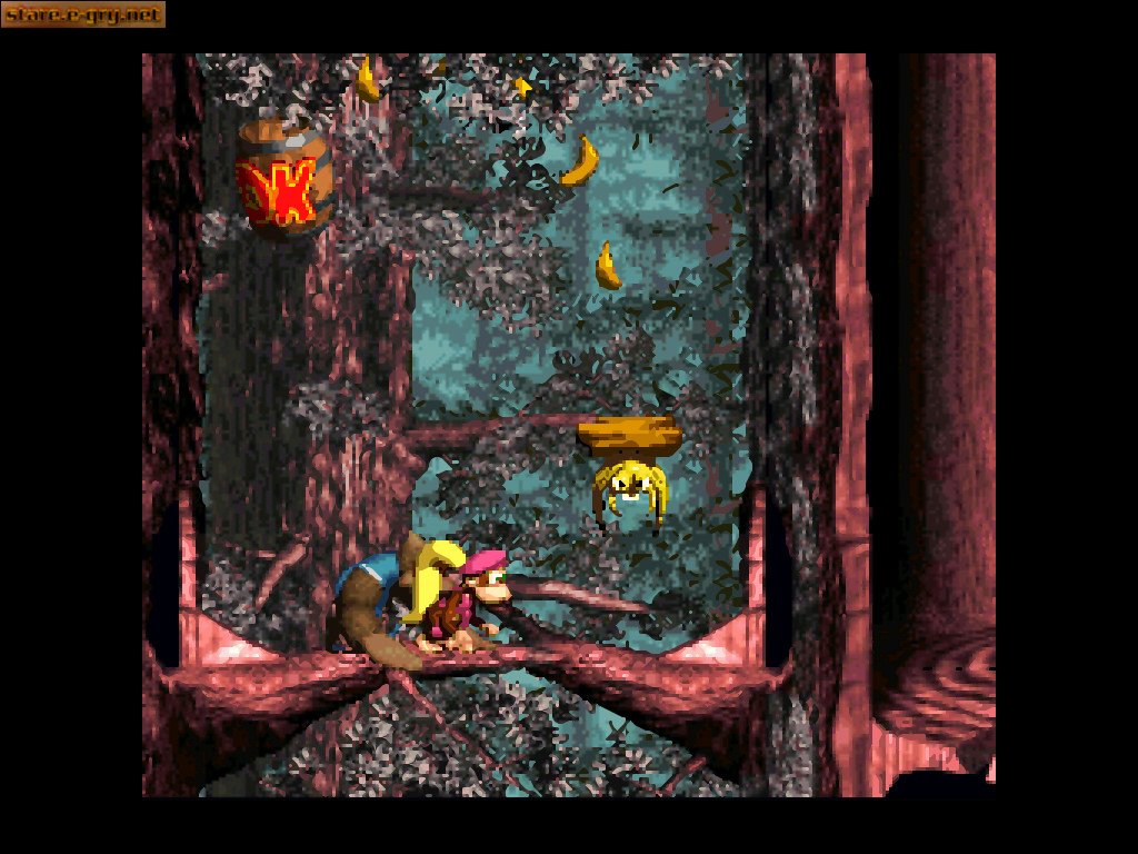 Donkey Kong Country 3: Dixie Kong's Double Trouble!