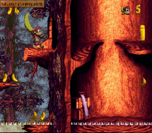 Donkey Kong Country 3: Dixie Kong's Double Trouble!