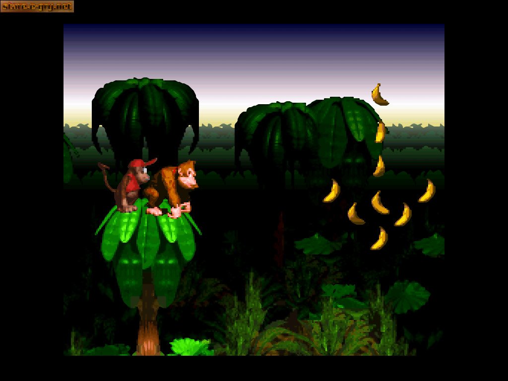 Donkey Kong Country