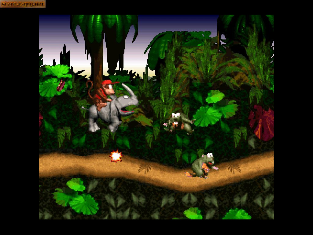Donkey Kong Country