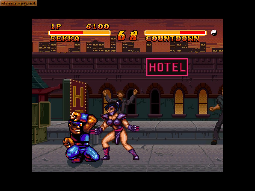 Double Dragon V: The Shadow Falls