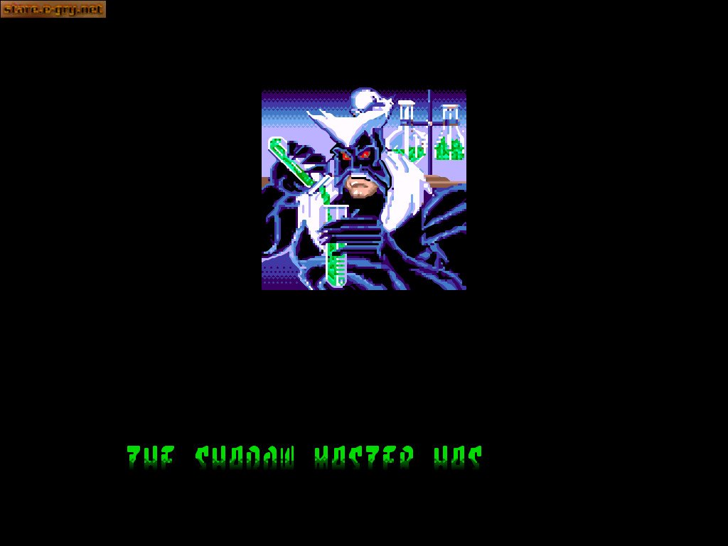 Double Dragon V: The Shadow Falls