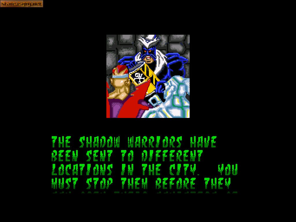 Double Dragon V: The Shadow Falls