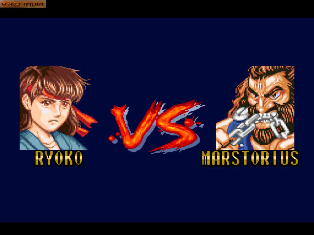 Fighter's History