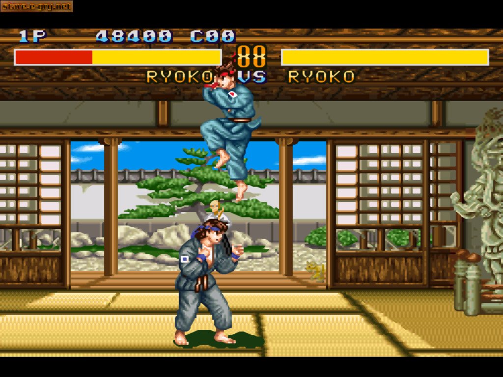 Fighter's History