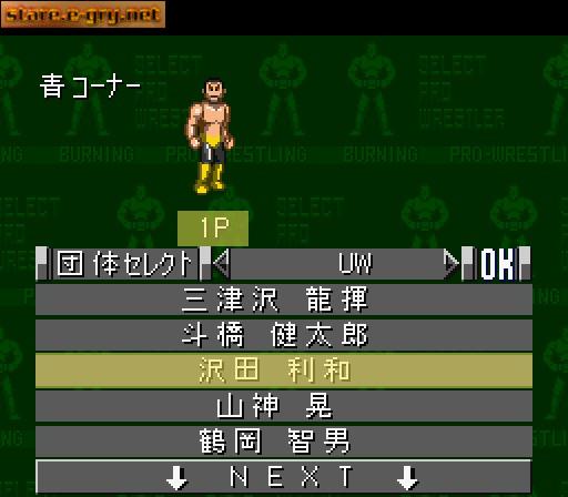 Gekitou Burning Pro Wrestling