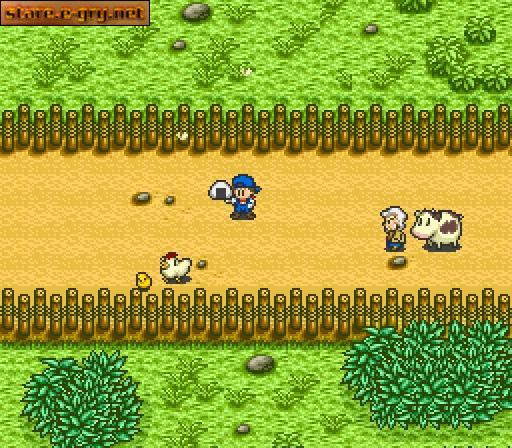 Harvest Moon
