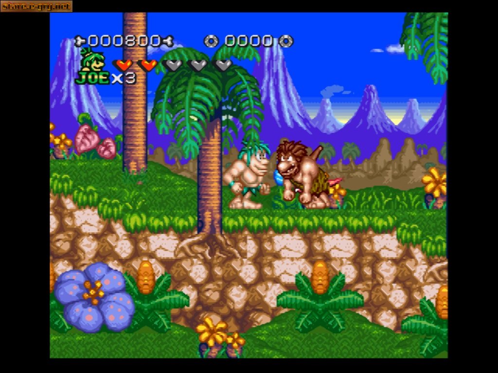 Joe & Mac 2: Lost in the Tropics