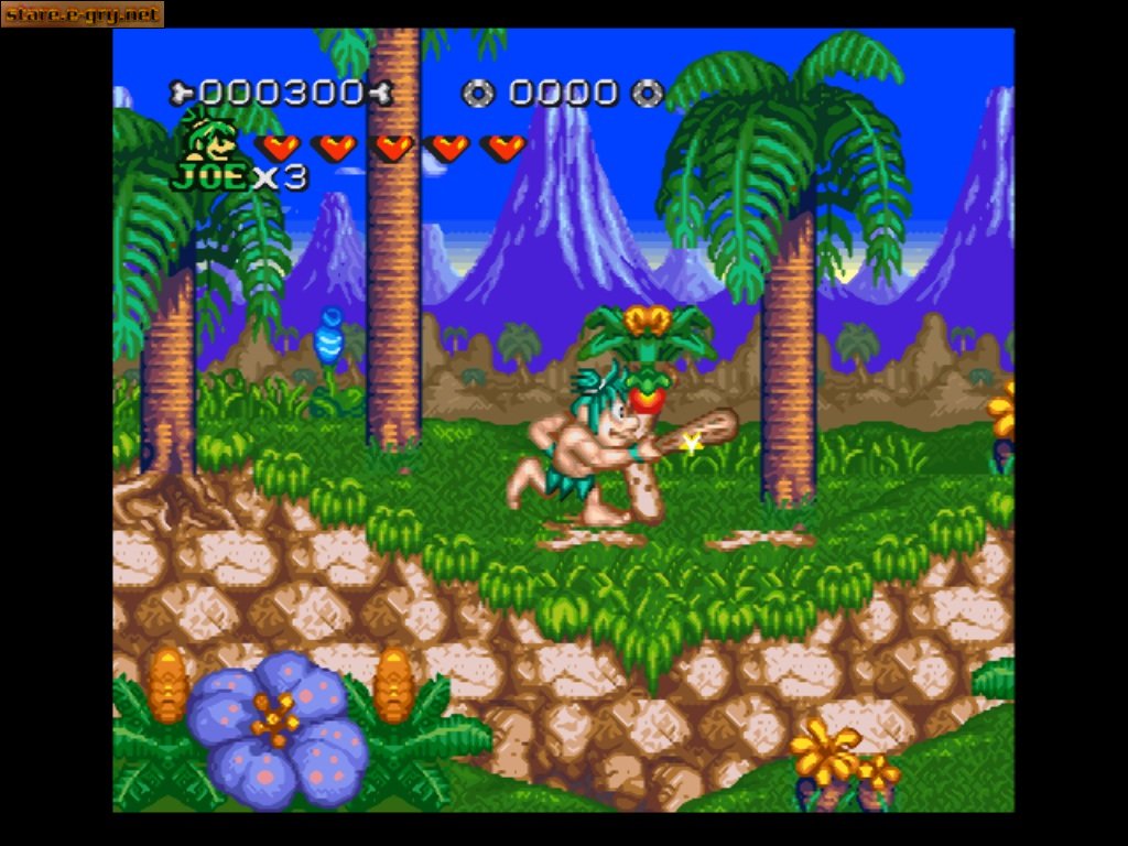 Joe & Mac 2: Lost in the Tropics