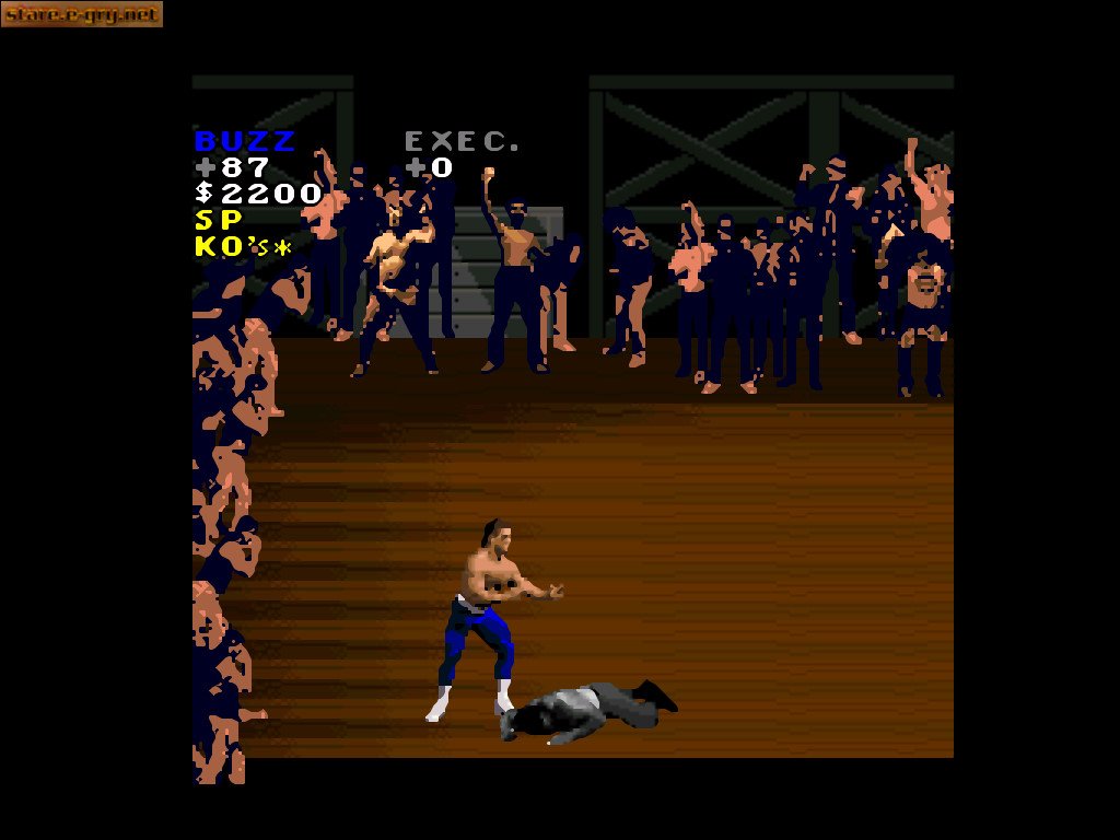 Pit-Fighter