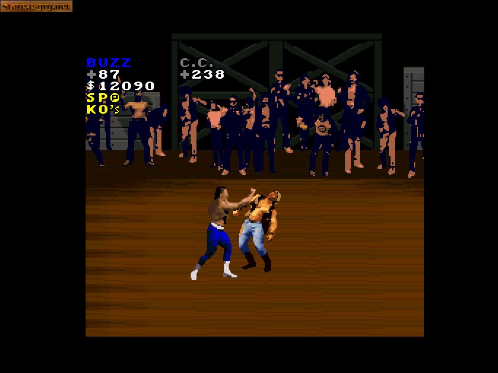 Pit-Fighter