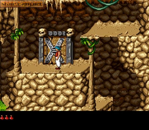 Prince of Persia 2: The Shadow & The Flame