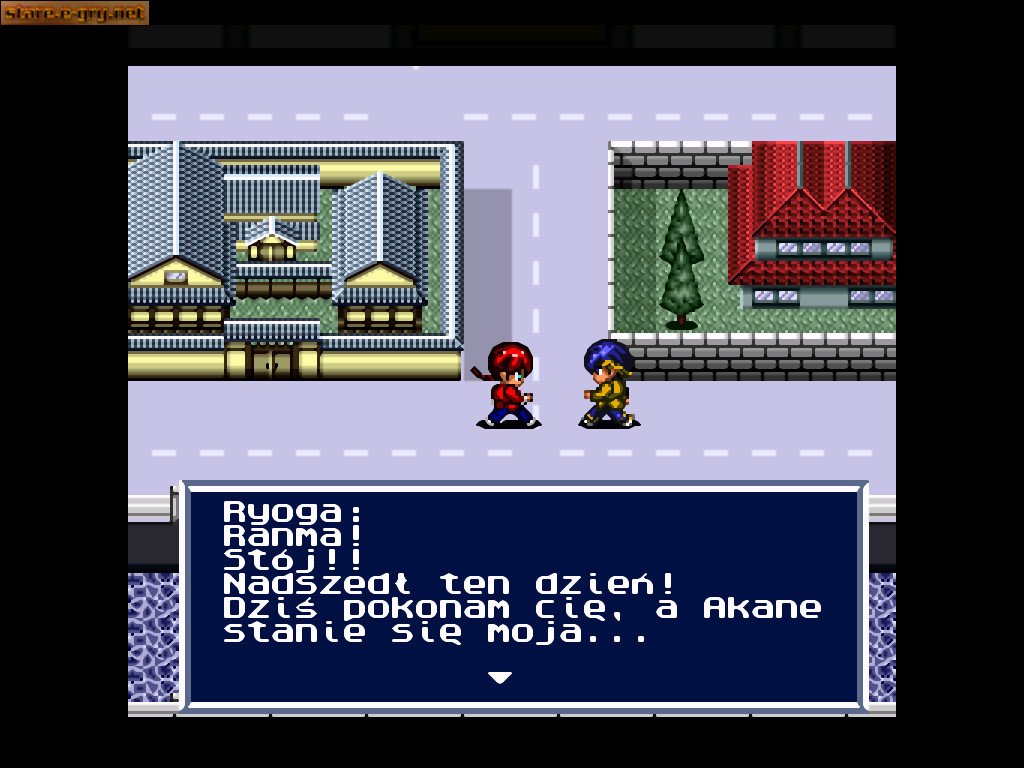 Ranma 1/2: Treasure of the Red Cat Gang (PL)