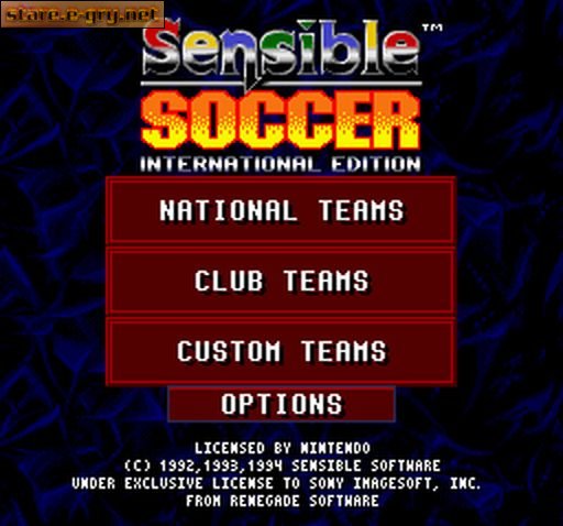 Sensible Soccer: International Edition