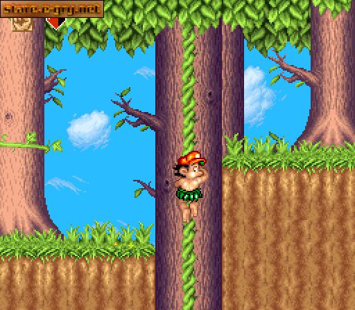 Super Adventure Island II
