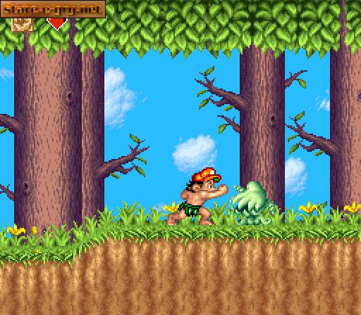 Super Adventure Island II