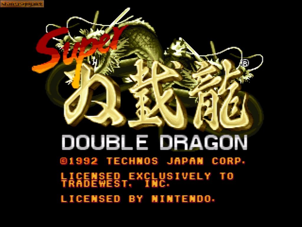 Super Double Dragon