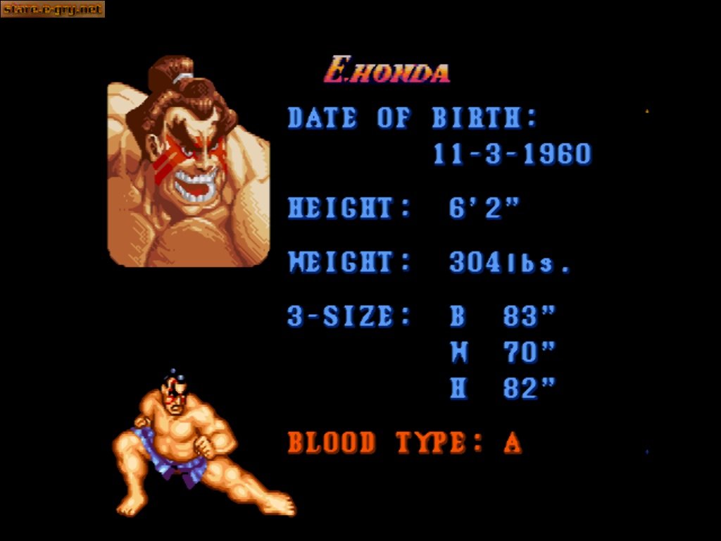 Super Street Fighter II: The New Challengers