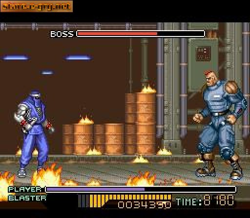 The Ninja Warriors