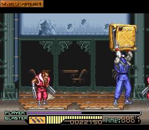 The Ninja Warriors