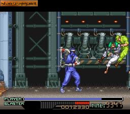 The Ninja Warriors