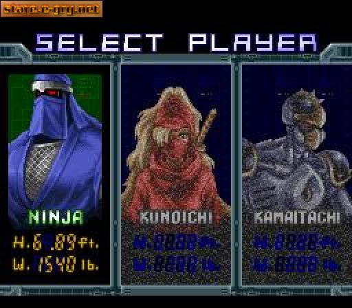 The Ninja Warriors