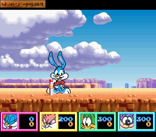 Tiny Toon Adventures: Wacky Sports Challenge