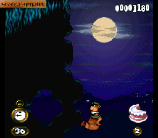 Yogi Bear