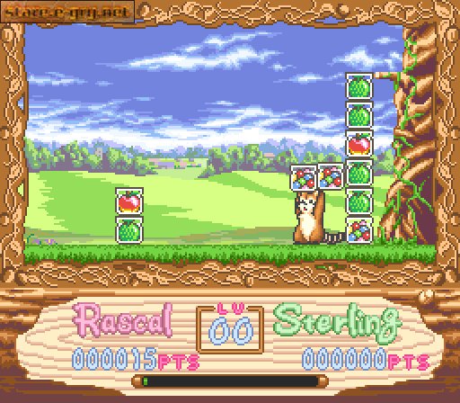 Araiguma Rascal: Raccoon Rascal