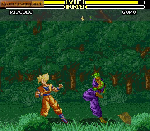 Dragon Ball Z Super Butouden 2