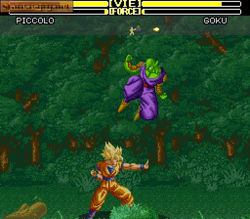 Dragon Ball Z Super Butouden 2